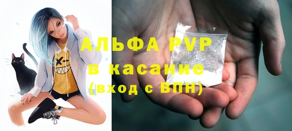 гашик Алексеевка