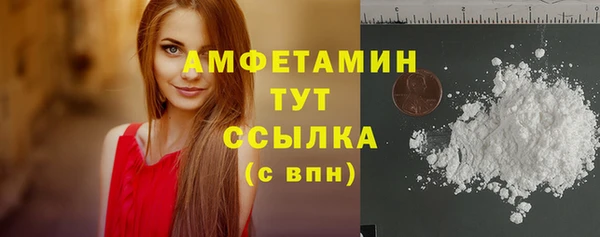 гашик Алексеевка
