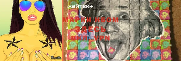 гашик Алексеевка