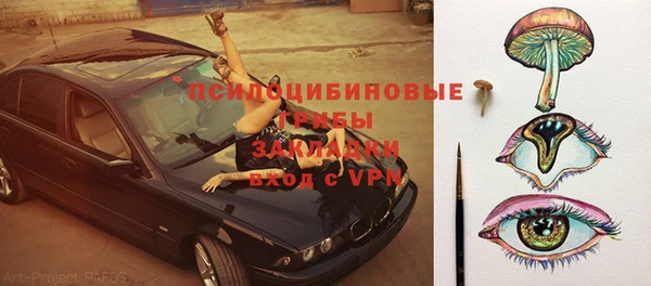 МДПВ Алексин