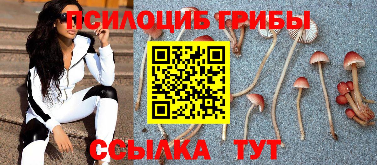Псилоцибиновые грибы ЛСД  Псилоцибиновые грибы мицелий  Вход с VPN  где продают наркотики  Михайловск 